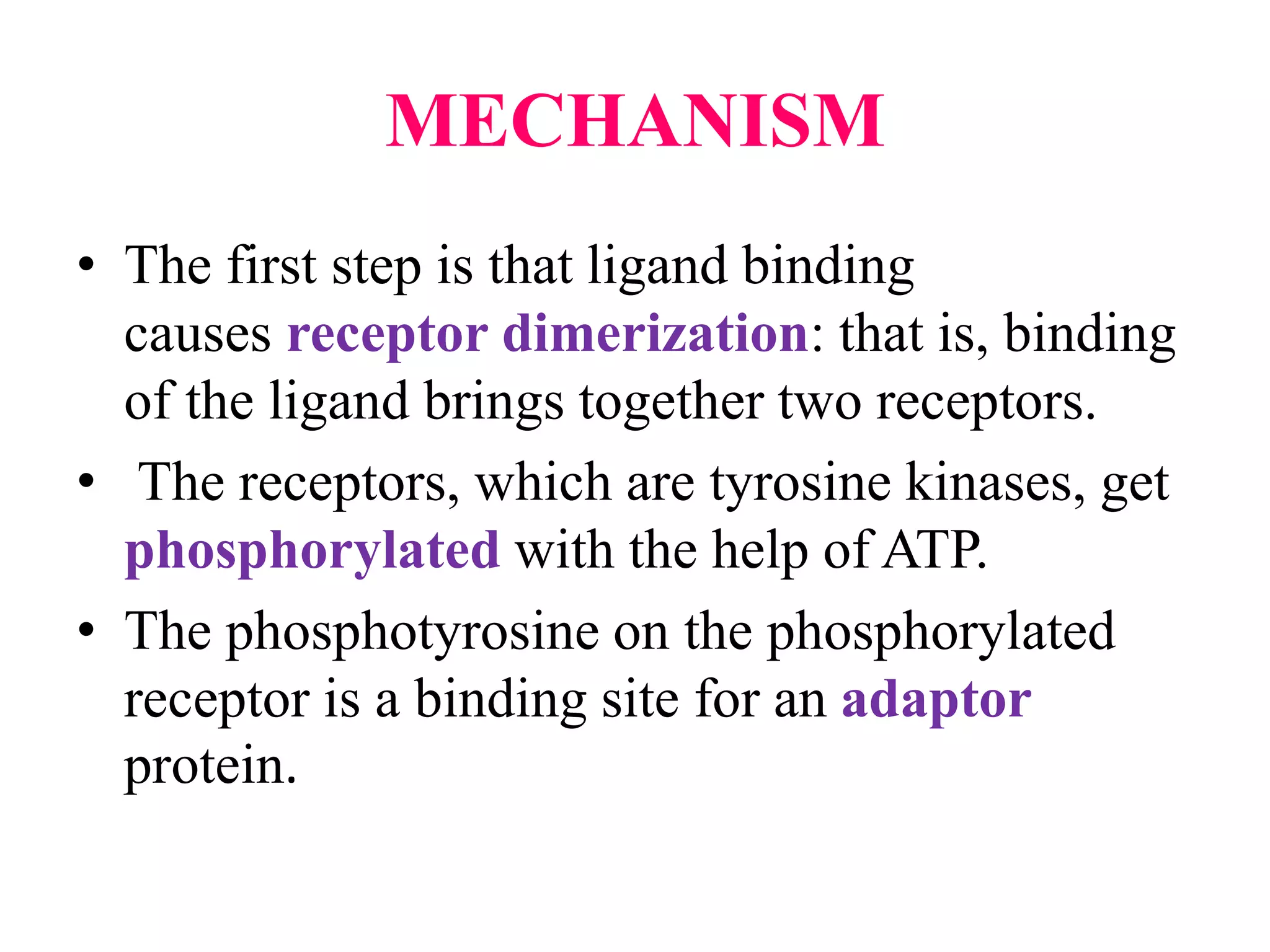 MECHANISM
• The first step is that ligand binding
causes receptor dimerization: that is, binding
of the ligand brings together two receptors.
• The receptors, which are tyrosine kinases, get
phosphorylated with the help of ATP.
• The phosphotyrosine on the phosphorylated
receptor is a binding site for an adaptor
protein.
 