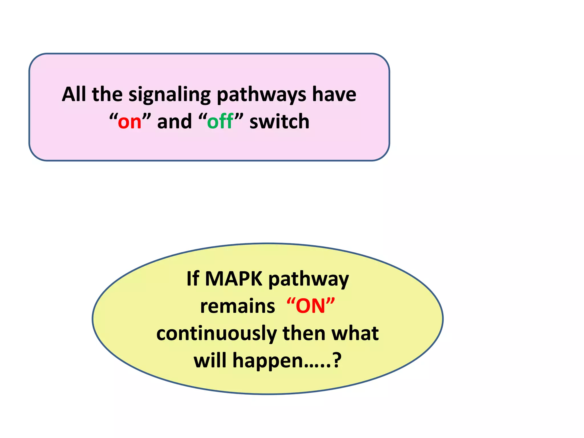 All the signaling pathways have
“on” and “off” switch
If MAPK pathway
remains “ON”
continuously then what
will happen…..?
 