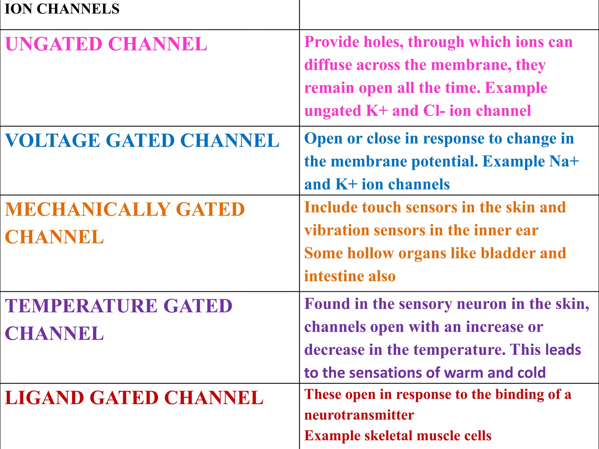 ION CHANNELS
UNGATED CHANNEL Provide holes, through which ions can
diffuse across the membrane, they
remain open all the time. Example
ungated K+ and Cl- ion channel
VOLTAGE GATED CHANNEL Open or close in response to change in
the membrane potential. Example Na+
and K+ ion channels
MECHANICALLY GATED
CHANNEL
Include touch sensors in the skin and
vibration sensors in the inner ear
Some hollow organs like bladder and
intestine also
TEMPERATURE GATED
CHANNEL
Found in the sensory neuron in the skin,
channels open with an increase or
decrease in the temperature. This leads
to the sensations of warm and cold
LIGAND GATED CHANNEL These open in response to the binding of a
neurotransmitter
Example skeletal muscle cells
 