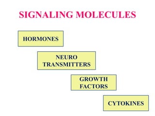 SIGNALING MOLECULES
HORMONES
NEURO
TRANSMITTERS
GROWTH
FACTORS
CYTOKINES
 