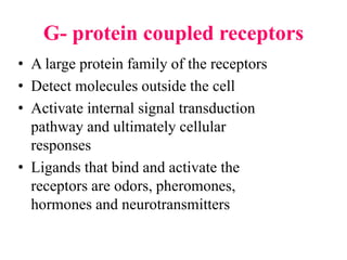 G- protein coupled receptors
• A large protein family of the receptors
• Detect molecules outside the cell
• Activate internal signal transduction
pathway and ultimately cellular
responses
• Ligands that bind and activate the
receptors are odors, pheromones,
hormones and neurotransmitters
 
