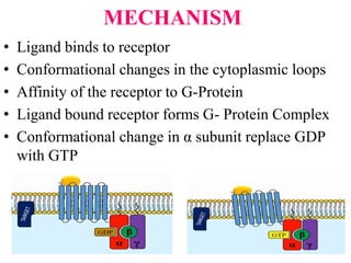 MECHANISM
• Ligand binds to receptor
• Conformational changes in the cytoplasmic loops
• Affinity of the receptor to G-Protein
• Ligand bound receptor forms G- Protein Complex
• Conformational change in α subunit replace GDP
with GTP
 