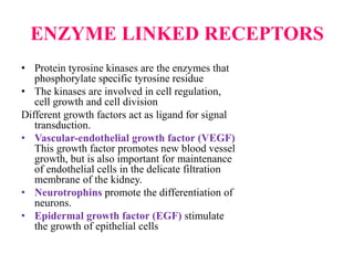 ENZYME LINKED RECEPTORS
• Protein tyrosine kinases are the enzymes that
phosphorylate specific tyrosine residue
• The kinases are involved in cell regulation,
cell growth and cell division
Different growth factors act as ligand for signal
transduction.
• Vascular-endothelial growth factor (VEGF)
This growth factor promotes new blood vessel
growth, but is also important for maintenance
of endothelial cells in the delicate filtration
membrane of the kidney.
• Neurotrophins promote the differentiation of
neurons.
• Epidermal growth factor (EGF) stimulate
the growth of epithelial cells
 
