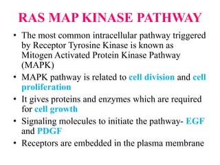 RAS MAP KINASE PATHWAY
• The most common intracellular pathway triggered
by Receptor Tyrosine Kinase is known as
Mitogen Activated Protein Kinase Pathway
(MAPK)
• MAPK pathway is related to cell division and cell
proliferation
• It gives proteins and enzymes which are required
for cell growth
• Signaling molecules to initiate the pathway- EGF
and PDGF
• Receptors are embedded in the plasma membrane
 