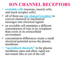 ION CHANNEL RECEPTORS
• excitable cells (neurons, muscle cells,
and touch receptor cells)
• all of them use ion channel receptors to
convert chemical or mechanical
messages into electrical signals
• an excitable cell maintains a different
concentration of ions in its cytoplasm
than exists in its extracellular
environment
• concentration differences create a small
electrical potential across the plasma
membrane
• “specialized channels” in the plasma
membrane open and allow rapid ion
movement into or out of the cell
 