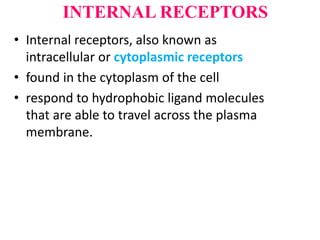 INTERNAL RECEPTORS
• Internal receptors, also known as
intracellular or cytoplasmic receptors
• found in the cytoplasm of the cell
• respond to hydrophobic ligand molecules
that are able to travel across the plasma
membrane.
 