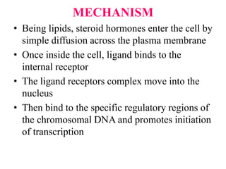 MECHANISM
• Being lipids, steroid hormones enter the cell by
simple diffusion across the plasma membrane
• Once inside the cell, ligand binds to the
internal receptor
• The ligand receptors complex move into the
nucleus
• Then bind to the specific regulatory regions of
the chromosomal DNA and promotes initiation
of transcription
 