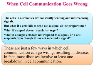 When Cell Communication Goes Wrong
The cells in our bodies are constantly sending out and receiving
signals.
But what if a cell fails to send out a signal at the proper time?
What if a signal doesn't reach its target?
What if a target cell does not respond to a signal, or a cell
responds even though it has not received a signal?
These are just a few ways in which cell
communication can go wrong, resulting in disease.
In fact, most diseases involve at least one
breakdown in cell communication.
 