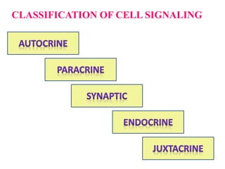 CLASSIFICATION OF CELL SIGNALING
 