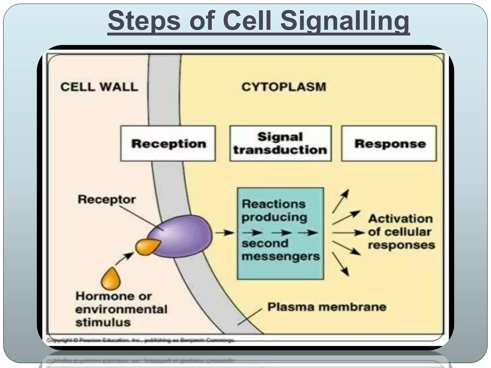Cell signalling, Communication, Junctions PPTX
