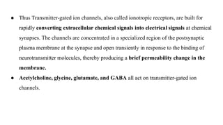 ● Thus Transmitter-gated ion channels, also called ionotropic receptors, are built for
rapidly converting extracellular chemical signals into electrical signals at chemical
synapses. The channels are concentrated in a specialized region of the postsynaptic
plasma membrane at the synapse and open transiently in response to the binding of
neurotransmitter molecules, thereby producing a brief permeability change in the
membrane.
● Acetylcholine, glycine, glutamate, and GABA all act on transmitter-gated ion
channels.
 