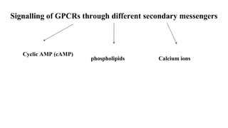 Signalling of GPCRs through different secondary messengers
Cyclic AMP (cAMP)
phospholipids Calcium ions
 