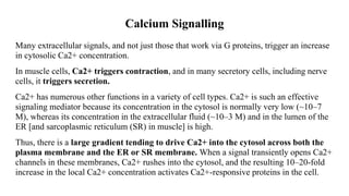 Calcium Signalling
Many extracellular signals, and not just those that work via G proteins, trigger an increase
in cytosolic Ca2+ concentration.
In muscle cells, Ca2+ triggers contraction, and in many secretory cells, including nerve
cells, it triggers secretion.
Ca2+ has numerous other functions in a variety of cell types. Ca2+ is such an effective
signaling mediator because its concentration in the cytosol is normally very low (~10–7
M), whereas its concentration in the extracellular fluid (~10–3 M) and in the lumen of the
ER [and sarcoplasmic reticulum (SR) in muscle] is high.
Thus, there is a large gradient tending to drive Ca2+ into the cytosol across both the
plasma membrane and the ER or SR membrane. When a signal transiently opens Ca2+
channels in these membranes, Ca2+ rushes into the cytosol, and the resulting 10–20-fold
increase in the local Ca2+ concentration activates Ca2+-responsive proteins in the cell.
 