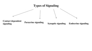 Types of Signaling
Contact dependent
signaling
Paracrine signaling
Synaptic signaling Endocrine signaling
 