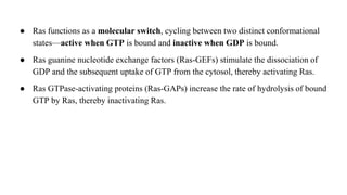● Ras functions as a molecular switch, cycling between two distinct conformational
states—active when GTP is bound and inactive when GDP is bound.
● Ras guanine nucleotide exchange factors (Ras-GEFs) stimulate the dissociation of
GDP and the subsequent uptake of GTP from the cytosol, thereby activating Ras.
● Ras GTPase-activating proteins (Ras-GAPs) increase the rate of hydrolysis of bound
GTP by Ras, thereby inactivating Ras.
 