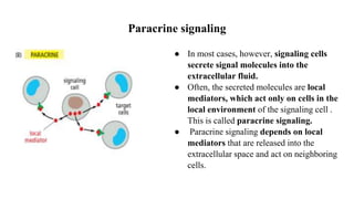 Paracrine signaling
● In most cases, however, signaling cells
secrete signal molecules into the
extracellular fluid.
● Often, the secreted molecules are local
mediators, which act only on cells in the
local environment of the signaling cell .
This is called paracrine signaling.
● Paracrine signaling depends on local
mediators that are released into the
extracellular space and act on neighboring
cells.
 
