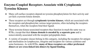 Enzyme-Coupled Receptors Associate with Cytoplasmic
Tyrosine Kinases
● Many cell-surface receptors depend on tyrosine phosphorylation for their activity and
yet lack a tyrosine kinase domain.
● These receptors act through cytoplasmic tyrosine kinases, which are associated with
the receptors and phosphorylate various target proteins, often including the receptors
themselves, when the receptors bind their ligand.
● These tyrosine-kinase-associated receptors thus function in much the same way as
RTKs, except that their kinase domain is encoded by a separate gene and is
noncovalently associated with the receptor polypeptide chain.
● A variety of receptor classes belong in this category, including the receptors for antigen
and interleukins on lymphocytes, integrins and receptors for various cytokines and
some hormones. As with RTKs, many of these receptors are either preformed
dimers or are cross-linked into dimers by ligand binding.
 