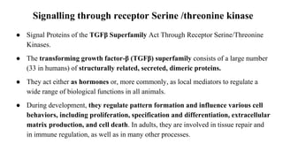 Signalling through receptor Serine /threonine kinase
● Signal Proteins of the TGFβ Superfamily Act Through Receptor Serine/Threonine
Kinases.
● The transforming growth factor-β (TGFβ) superfamily consists of a large number
(33 in humans) of structurally related, secreted, dimeric proteins.
● They act either as hormones or, more commonly, as local mediators to regulate a
wide range of biological functions in all animals.
● During development, they regulate pattern formation and influence various cell
behaviors, including proliferation, specification and differentiation, extracellular
matrix production, and cell death. In adults, they are involved in tissue repair and
in immune regulation, as well as in many other processes.
 