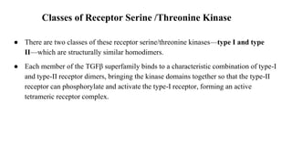 ● There are two classes of these receptor serine/threonine kinases—type I and type
II—which are structurally similar homodimers.
● Each member of the TGFβ superfamily binds to a characteristic combination of type-I
and type-II receptor dimers, bringing the kinase domains together so that the type-II
receptor can phosphorylate and activate the type-I receptor, forming an active
tetrameric receptor complex.
Classes of Receptor Serine /Threonine Kinase
 