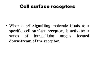 Cell surface receptors
• When a cell-signalling molecule binds to a
specific cell surface receptor, it activates a
series of intracellular targets located
downstream of the receptor.
 