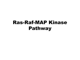 Ras-Raf-MAP Kinase
Pathway
 