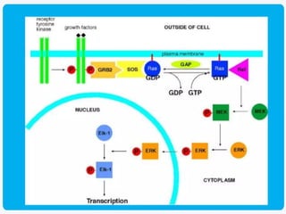 Cell signalling.pptx Cell structure and Function