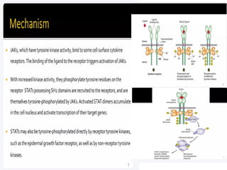 Cell signalling.pptx Cell structure and Function