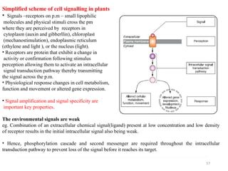 Comprehensive Overview of Cell Signalling Mechanisms and Pathways | PPTX