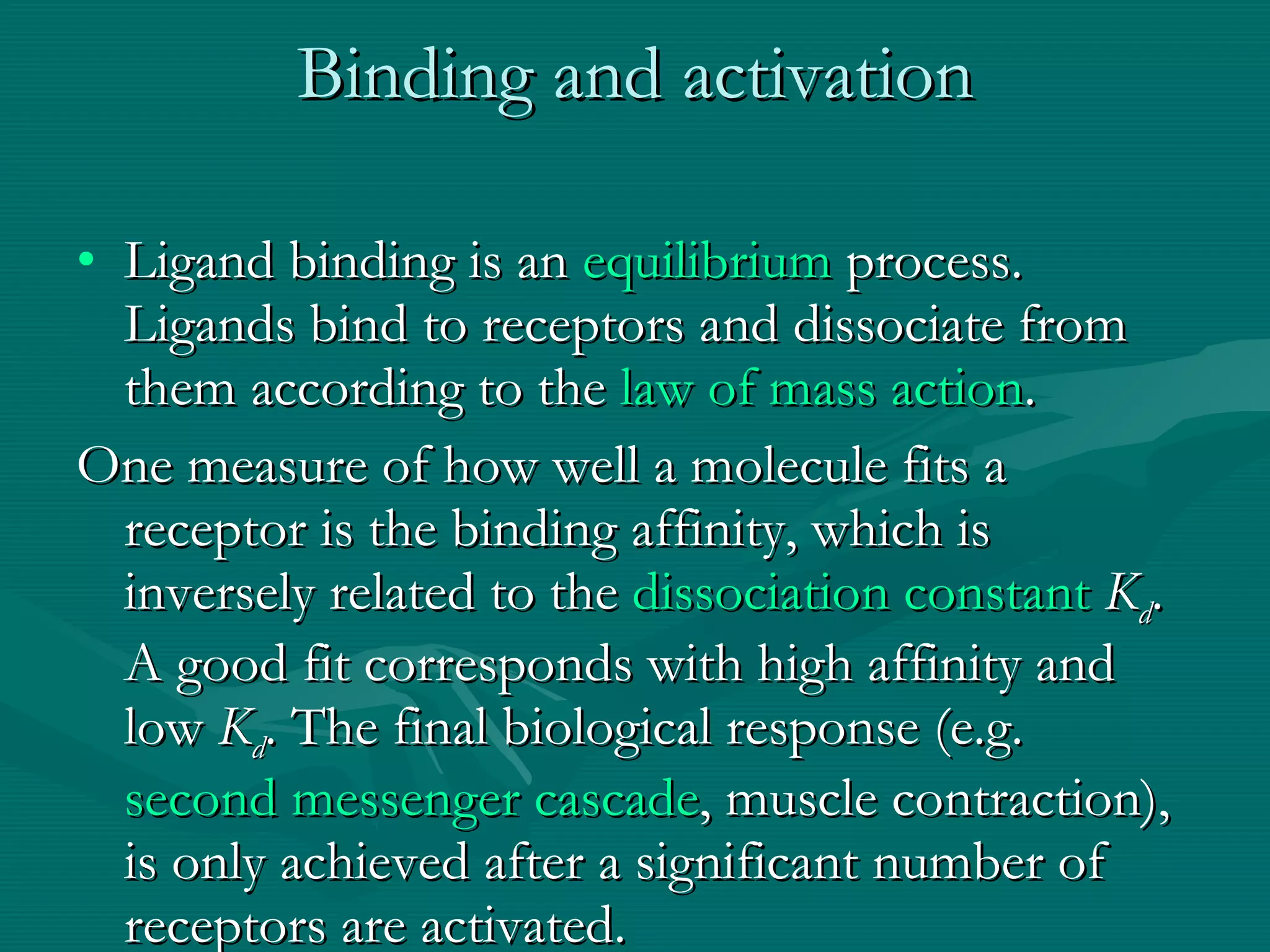 Binding and activation Ligand binding is an  equilibrium  process. Ligands bind to receptors and dissociate from them according to the  law of mass action . One measure of how well a molecule fits a receptor is the binding affinity, which is inversely related to the  dissociation constant   K d . A good fit corresponds with high affinity and low  K d . The final biological response (e.g.  second messenger cascade , muscle contraction), is only achieved after a significant number of receptors are activated. 