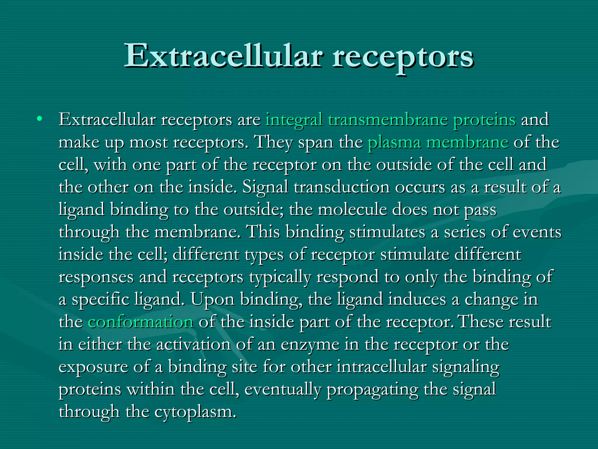 Extracellular receptors Extracellular receptors are  integral transmembrane proteins  and make up most receptors. They span the  plasma membrane  of the cell, with one part of the receptor on the outside of the cell and the other on the inside. Signal transduction occurs as a result of a ligand binding to the outside; the molecule does not pass through the membrane. This binding stimulates a series of events inside the cell; different types of receptor stimulate different responses and receptors typically respond to only the binding of a specific ligand. Upon binding, the ligand induces a change in the  conformation  of the inside part of the receptor.   These result in either the activation of an enzyme in the receptor or the exposure of a binding site for other intracellular signaling proteins within the cell, eventually propagating the signal through the cytoplasm. 
