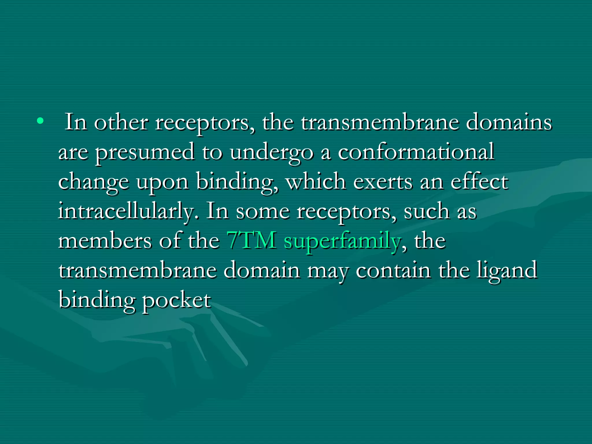   In other receptors, the transmembrane domains are presumed to undergo a conformational change upon binding, which exerts an effect intracellularly. In some receptors, such as members of the  7TM superfamily , the transmembrane domain may contain the ligand binding pocket 