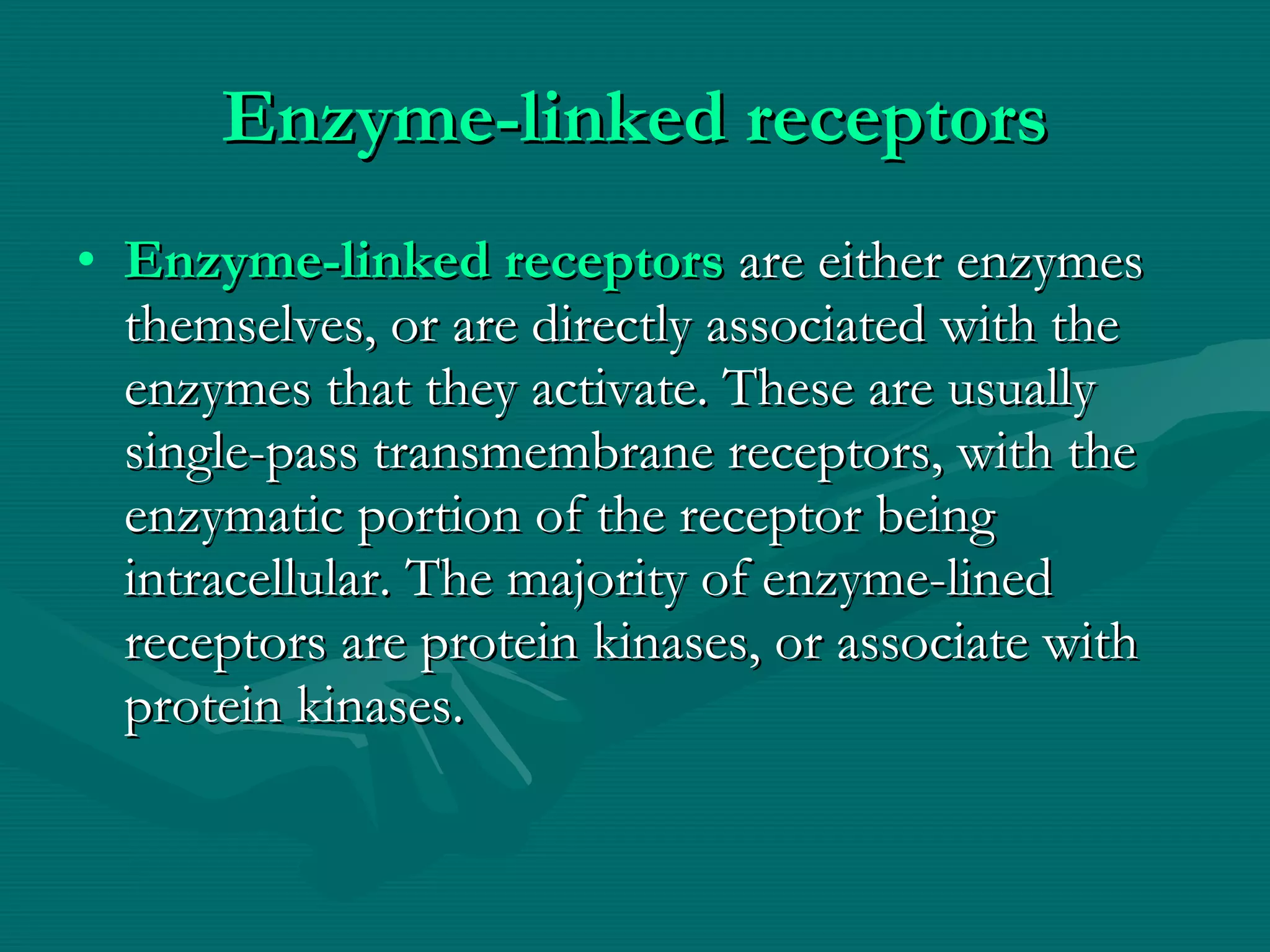 Enzyme-linked receptors Enzyme-linked receptors  are either enzymes themselves, or are directly associated with the enzymes that they activate. These are usually single-pass transmembrane receptors, with the enzymatic portion of the receptor being intracellular. The majority of enzyme-lined receptors are protein kinases, or associate with protein kinases. 