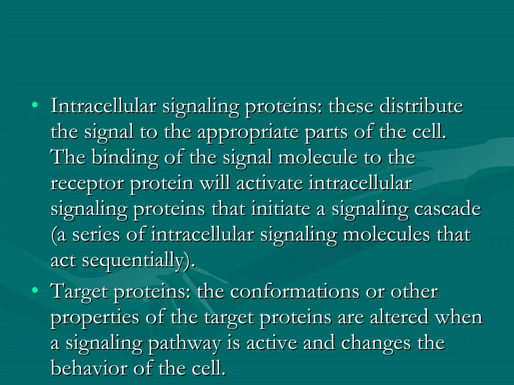 Intracellular signaling proteins: these distribute the signal to the appropriate parts of the cell. The binding of the signal molecule to the receptor protein will activate intracellular signaling proteins that initiate a signaling cascade (a series of intracellular signaling molecules that act sequentially). Target proteins: the conformations or other properties of the target proteins are altered when a signaling pathway is active and changes the behavior of the cell. 