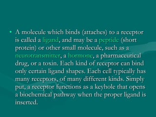 A molecule which binds (attaches) to a receptor is called a  ligand , and may be a  peptide  (short protein) or other small molecule, such as a neurotransmitter , a  hormone , a pharmaceutical drug, or a toxin. Each kind of receptor can bind only certain ligand shapes. Each cell typically has many receptors, of many different kinds. Simply put, a receptor functions as a keyhole that opens a biochemical pathway when the proper ligand is inserted. 