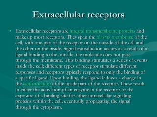 Extracellular receptors Extracellular receptors are  integral transmembrane proteins  and make up most receptors. They span the  plasma membrane  of the cell, with one part of the receptor on the outside of the cell and the other on the inside. Signal transduction occurs as a result of a ligand binding to the outside; the molecule does not pass through the membrane. This binding stimulates a series of events inside the cell; different types of receptor stimulate different responses and receptors typically respond to only the binding of a specific ligand. Upon binding, the ligand induces a change in the  conformation  of the inside part of the receptor.   These result in either the activation of an enzyme in the receptor or the exposure of a binding site for other intracellular signaling proteins within the cell, eventually propagating the signal through the cytoplasm. 