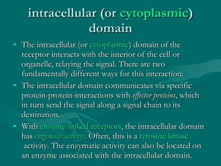 intracellular (or  cytoplasmic ) domain The intracellular (or  cytoplasmic ) domain of the receptor interacts with the interior of the cell or organelle, relaying the signal. There are two fundamentally different ways for this interaction: The intracellular domain communicates via specific protein-protein-interactions with  effector proteins , which in turn send the signal along a signal chain to its destination. With  enzyme-linked receptors , the intracellular domain has  enzymatic activity . Often, this is a  tyrosine kinase  activity. The enzymatic activity can also be located on an enzyme associated with the intracellular domain. 