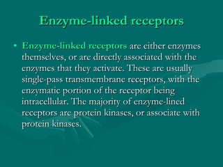 Enzyme-linked receptors Enzyme-linked receptors  are either enzymes themselves, or are directly associated with the enzymes that they activate. These are usually single-pass transmembrane receptors, with the enzymatic portion of the receptor being intracellular. The majority of enzyme-lined receptors are protein kinases, or associate with protein kinases. 