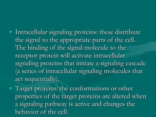 Intracellular signaling proteins: these distribute the signal to the appropriate parts of the cell. The binding of the signal molecule to the receptor protein will activate intracellular signaling proteins that initiate a signaling cascade (a series of intracellular signaling molecules that act sequentially). Target proteins: the conformations or other properties of the target proteins are altered when a signaling pathway is active and changes the behavior of the cell. 