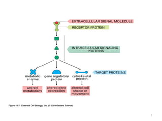 Cell signalling | PPTX