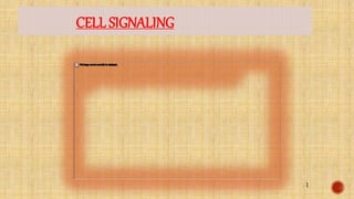 CELL SIGNALING
1
 