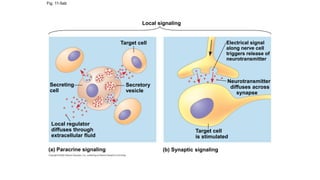 cell signalling & communication of cells.ppt