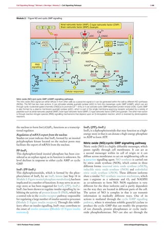 Cell signalling pathway | PDF