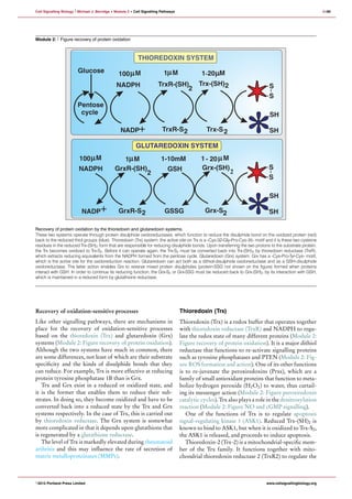 Cell signalling pathway | PDF