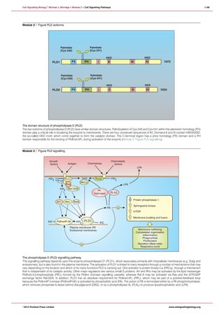 Cell signalling pathway | PDF