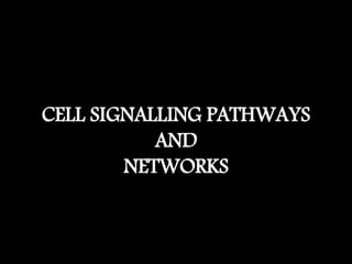 CELL SIGNALLING PATHWAYS
AND
NETWORKS
 