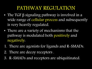 TGF Beta Pathway and Inositol Phosphate Pathway In Cell Signalling | PPTX