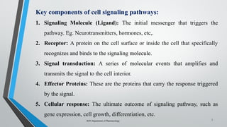 "Cell Signaling Pathways: Mechanisms and Molecular Messengers" | PPTX
