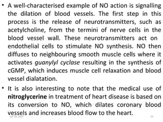 • A well-characterised example of NO action is signalling
the dilation of blood vessels. The first step in this
process is the release of neurotransmitters, such as
acetylcholine, from the termini of nerve cells in the
blood vessel wall. These neurotransmitters act on
endothelial cells to stimulate NO synthesis. NO then
diffuses to neighbouring smooth muscle cells where it
activates guanylyl cyclase resulting in the synthesis of
cGMP, which induces muscle cell relaxation and blood
vessel dialatation.
• It is also interesting to note that the medical use of
nitroglycerine in treatment of heart disease is based on
its conversion to NO, which dilates coronary blood
vessels and increases blood flow to the heart.Jan 18, 2017 23
 