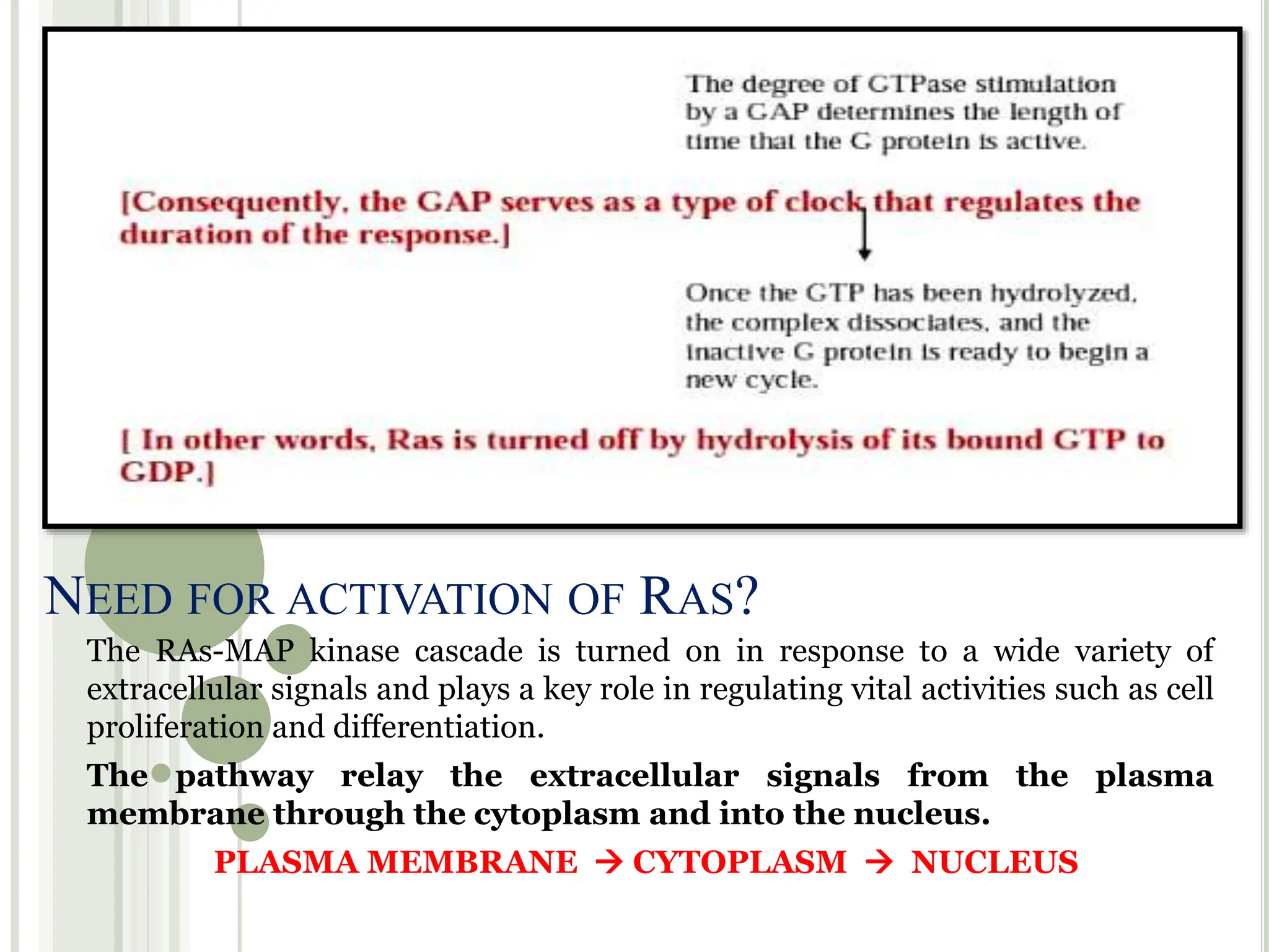 Cell signalling through MAP-Kinase and JAK STAT pathway.pptx