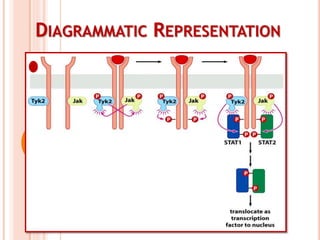 DIAGRAMMATIC REPRESENTATION
 